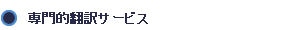 専門的翻訳サービス